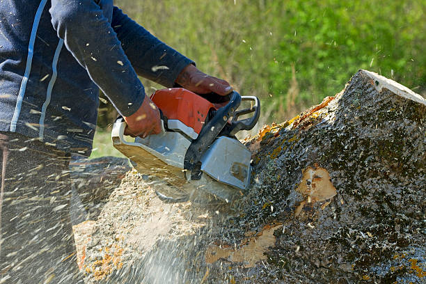 Lawn Irrigation Installation and Maintenance in Cordova, AK